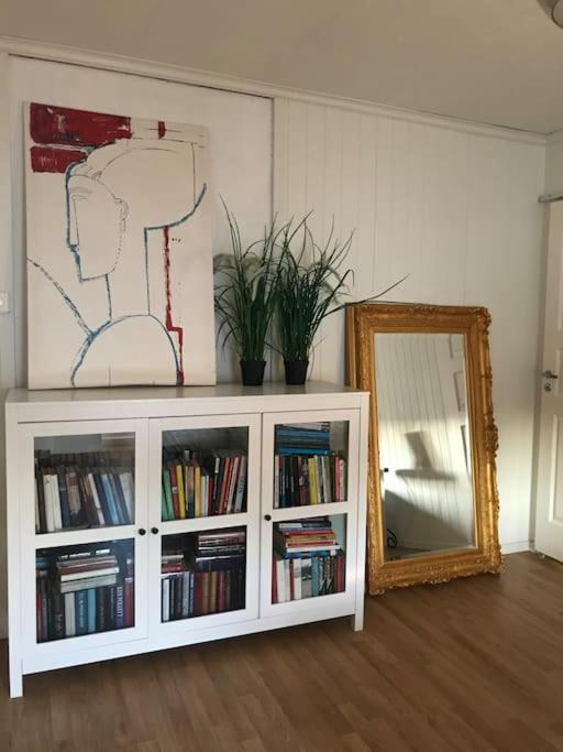 Stort Hus I Porsgrunn Sentrum Med Gangavstand Til "Alt" & Gratis Parkering Til Flere Biler Exterior photo