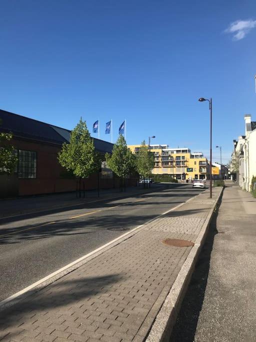 Stort Hus I Porsgrunn Sentrum Med Gangavstand Til "Alt" & Gratis Parkering Til Flere Biler Exterior photo